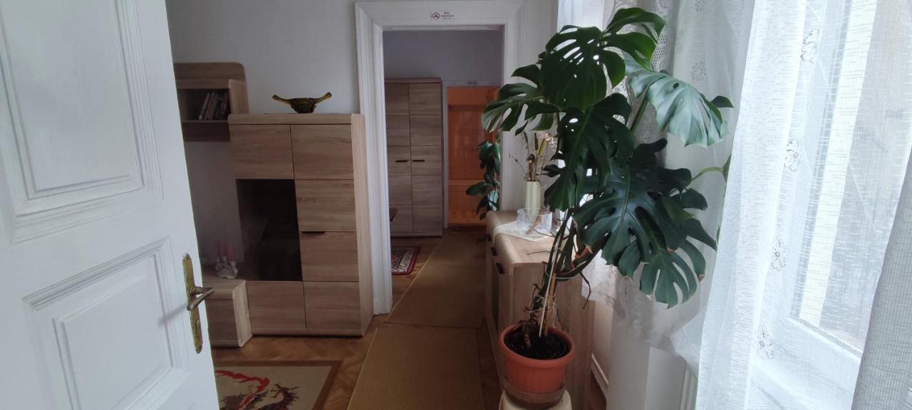 Julia Apartman. ブダペスト エクステリア 写真